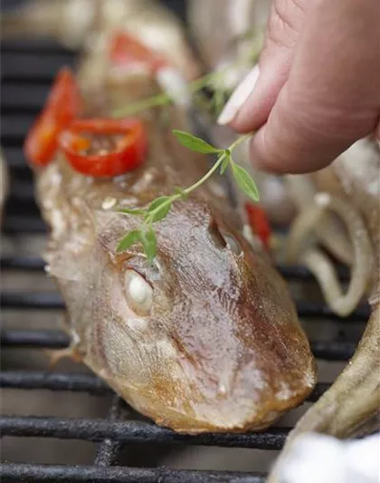 GRILLEN MIT KRäUTERN!