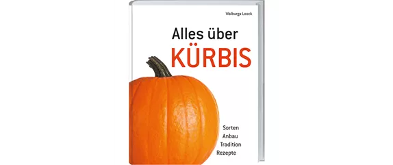 FARBENFROHE KüRBISKüCHE!