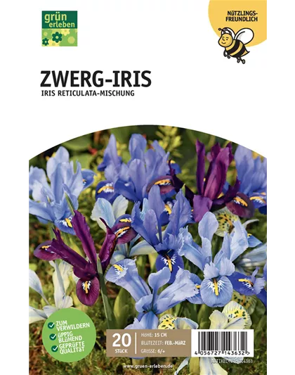 Zwerg Iris 