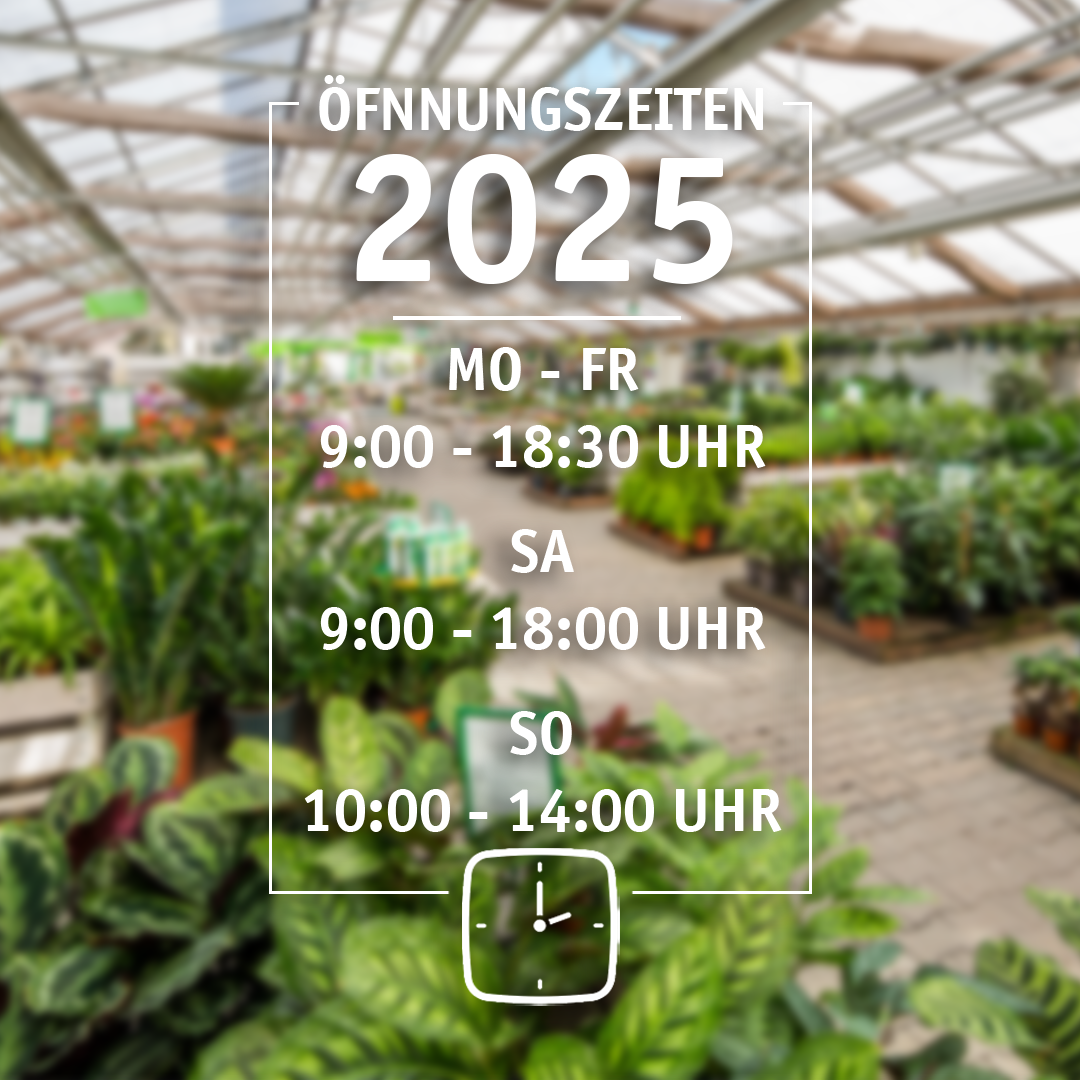 Öffnungszeiten 2025_SM.png